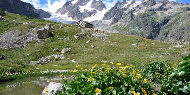 MontBlanc