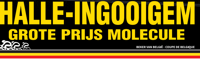 halleingooigem