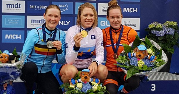 van dijk herning 2017