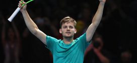 goffin