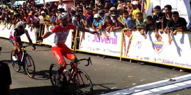 malucelli tachira androni