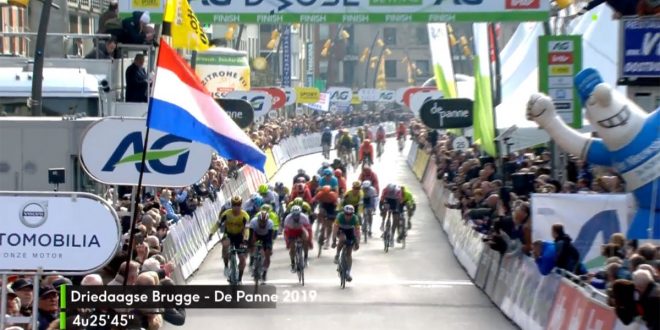 driedaagse