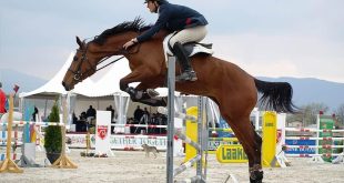 Gli Inarrivabili: I Più Veloci Nelle Competizioni Equestri