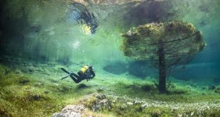 Rinvigorire il corpo: Vantaggi delle immersioni fredde