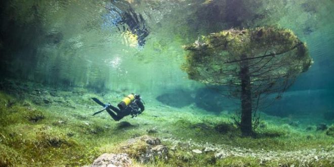 Rinvigorire il corpo: Vantaggi delle immersioni fredde