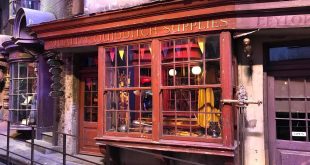 Quidditch Muggle: Dal Romanzo alla Realtà Sportiva
