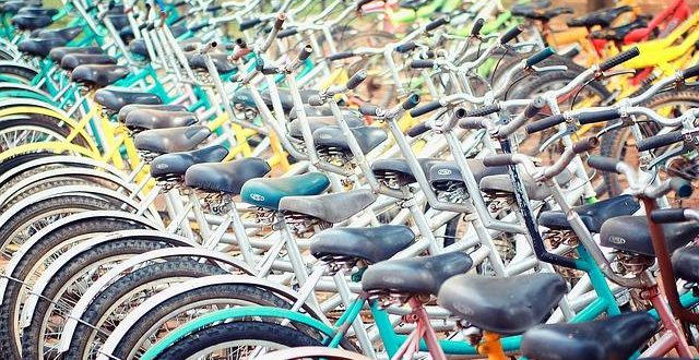 Mountain Bike: Percorsi Leggendari per Appassionati di MTB