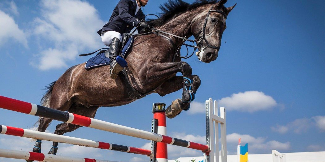 Equitazione: Guida alla Cura del Tuo Cavallo Sportivo