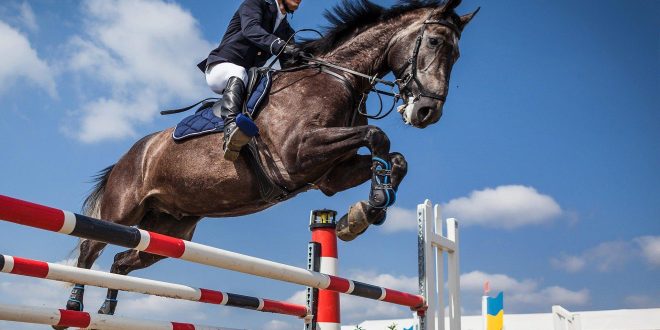 Equitazione: Guida alla Cura del Tuo Cavallo Sportivo