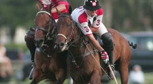 Polo a Cavallo: Regole e Tecniche di Gioco