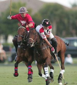 Polo a Cavallo: Regole e Tecniche di Gioco