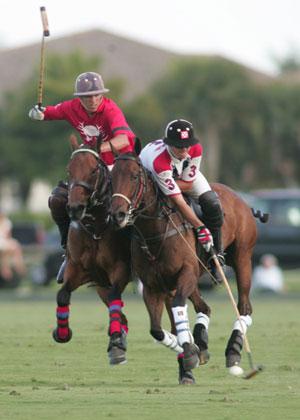 Polo a Cavallo: Regole e Tecniche di Gioco