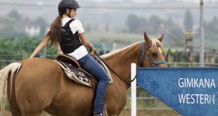 Equitazione Western: Stili e Tecniche Fondamentali