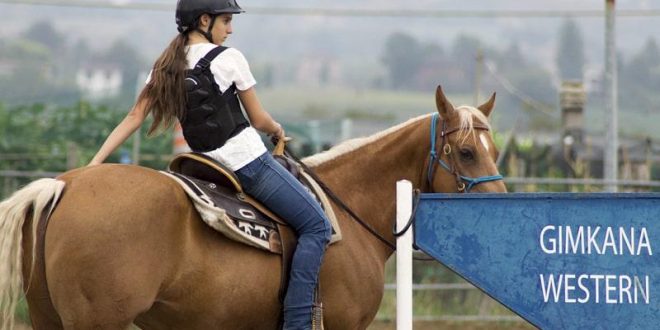 Equitazione Western: Stili e Tecniche Fondamentali