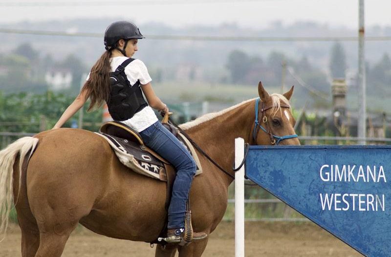 Equitazione Western: Stili e Tecniche Fondamentali