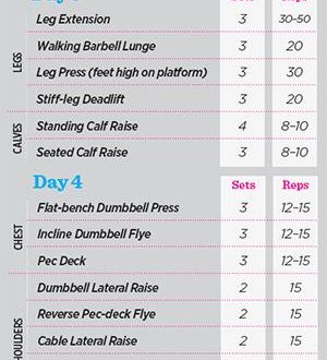 Bodybuilding: Programmi di Allenamento per la Massa