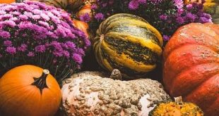 Squash: Regole del Gioco e Strategie Vincitrici
