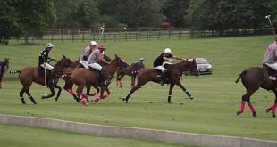 Polo: Fondamenti del Gioco e Strategie di Squadra
