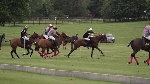Polo: Fondamenti del Gioco e Strategie di Squadra