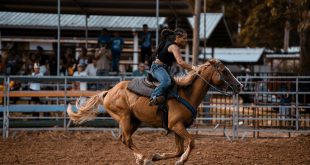 Equitazione Western: Guida alle Discipline e Attrezzature