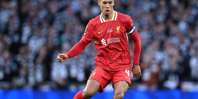 Virgil van Dijk: il colosso olandese che salvò Liverpool