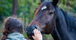 I colpi del tennis che hanno riscritto la tecnica moderna