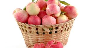 Le partite di basket più epiche mai giocate in Europa