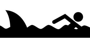 La nascita del triathlon e i suoi pionieri più coraggiosi