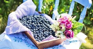 Come analizzare una partita di basket usando le statistiche avanzate