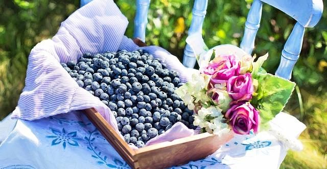 Come analizzare una partita di basket usando le statistiche avanzate