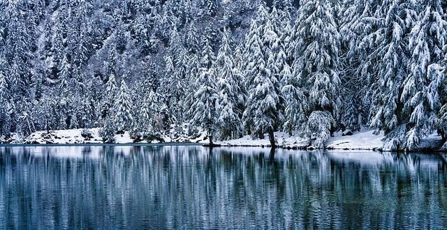 Le biciclette da triathlon più avanzate sul mercato