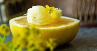 Le storie dei grandi pesisti che hanno riscritto i record