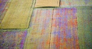 Le piste di atletica più veloci del mondo e il motivo scientifico