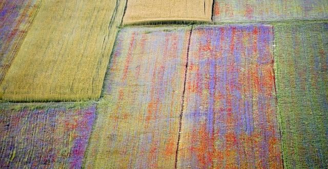 Le piste di atletica più veloci del mondo e il motivo scientifico