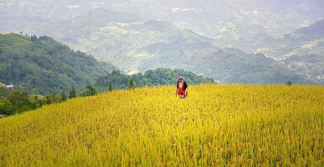 I team più forti della storia del ciclismo su pista