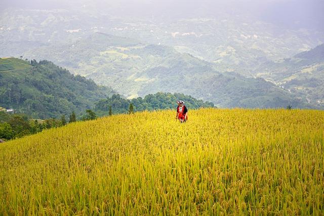 I team più forti della storia del ciclismo su pista