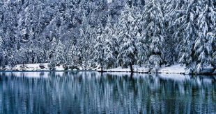 Le macchine da allenamento che hanno rivoluzionato le palestre