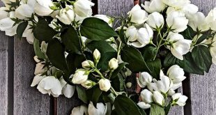 Le tradizioni più particolari degli stadi sudamericani