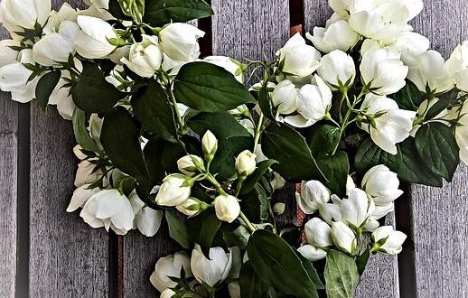 Le tradizioni più particolari degli stadi sudamericani