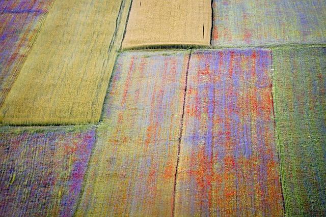 Il pattinaggio di figura: dalle prime gare ai prodigi moderni